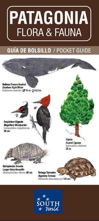 PATAGONIA. Flora & Fauna.